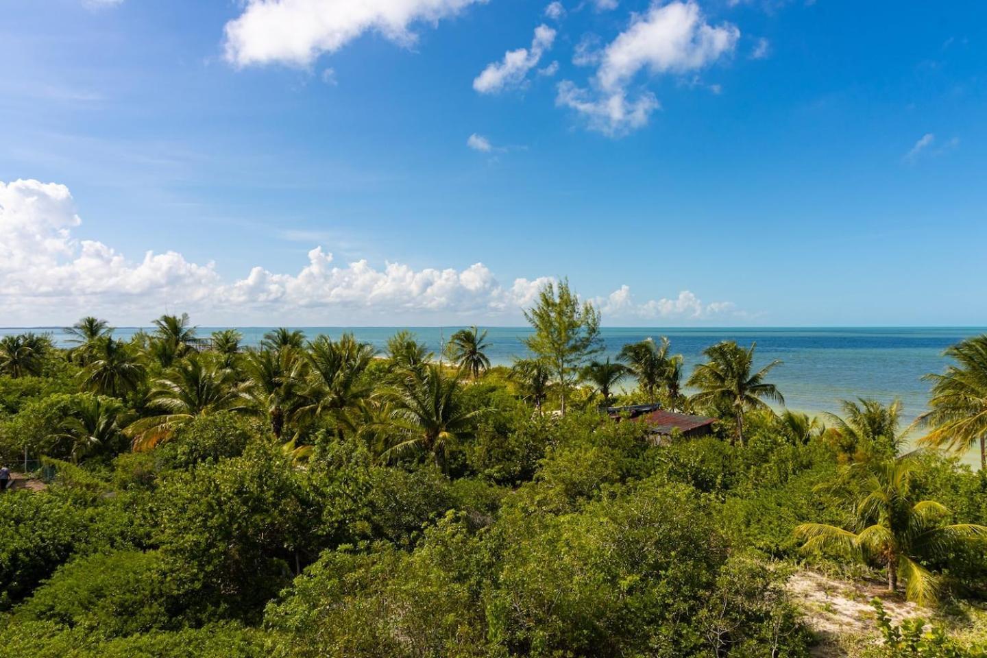 Beautiful Ocean View Penthouse With Private Pool -C301 Hotel Ilha Holbox Exterior foto